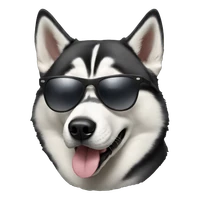Max Maliuk's profile picture